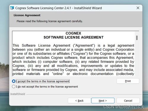 机器视觉基础实践 Vision Pro安装与应用软件服务指南
