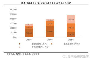 瀚高股份 国内领先的数据库软件产品及服务提供商，深耕应用软件服务新蓝海